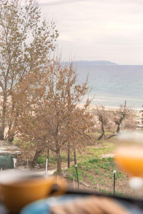 Villa Aelia Gardeno Vitaládes エクステリア 写真